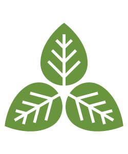 Caring for Trees in Your Backyard